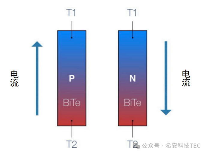 TEC چگونه کار می کند؟